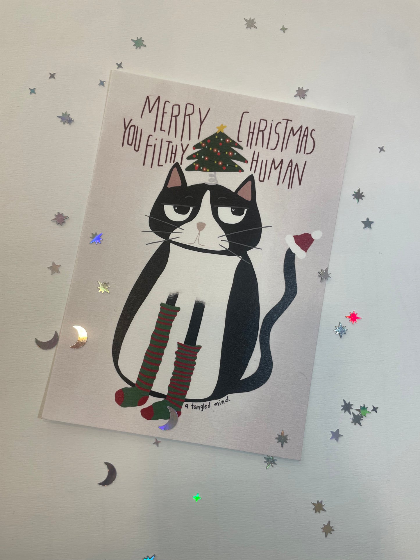 Merry Christmas you filthy human