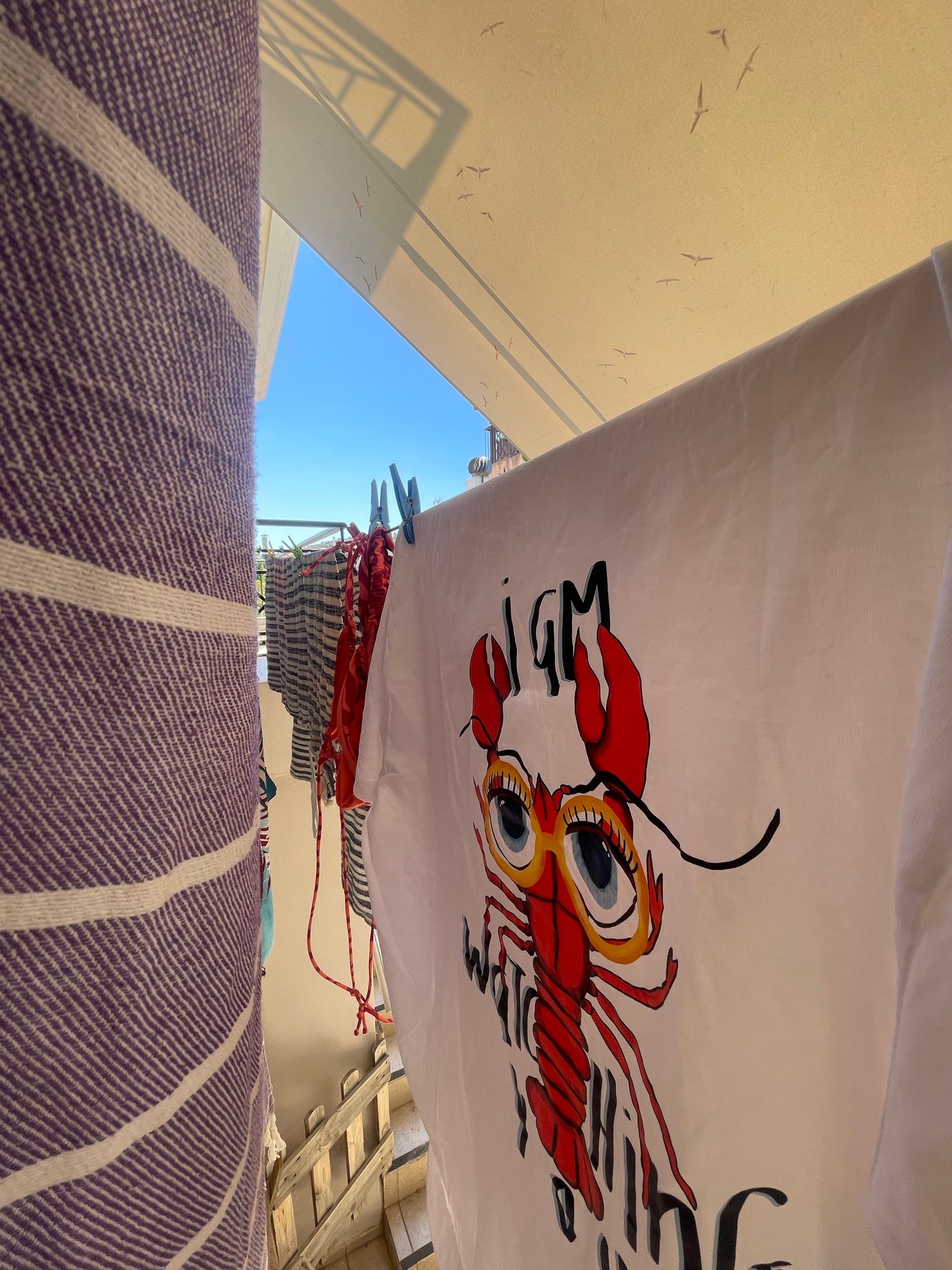 Lobster is watching